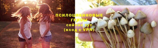 наркотики Абаза