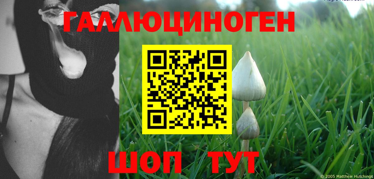 Псилоцибиновые грибы мухоморы Липецк