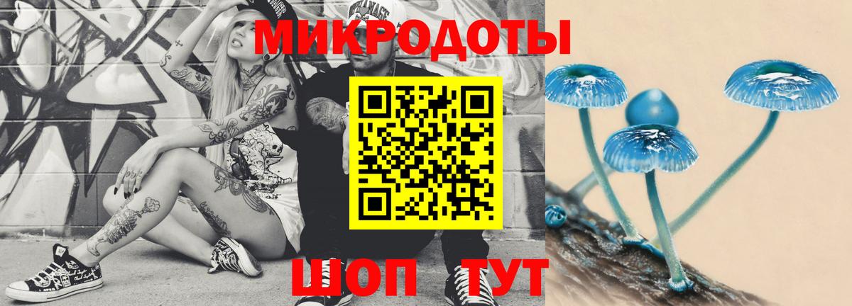наркотики  Псилоцибиновые грибы MAGIC MUSHROOMS  Вход с VPN  Липецк 
